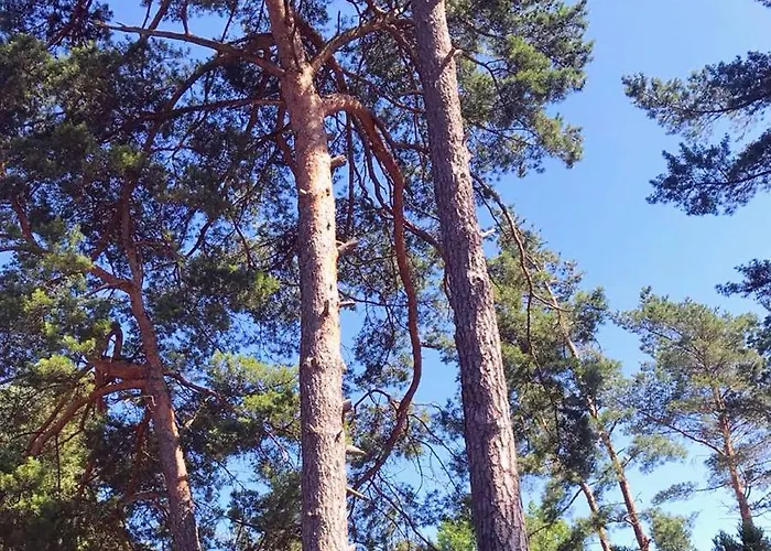 Nad Morzem Prázdninový dům